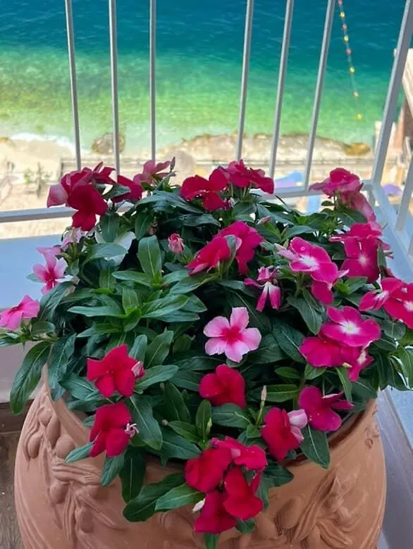 Beachfront Luxe Apartment Sarandë